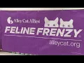 Organization spays neuters more than 100 feral cats in Wise County