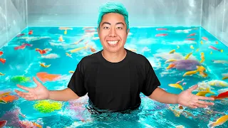 Best Fish Tank Wins 5 000 ft Aquarium Info