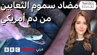 دم رجل أمريكي حقن نفسه بسم الأفعى لعقدين يؤدي لتطوير مضاد سموم لا مثيل له دندنها