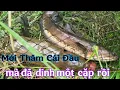Download Lagu Mới  Thăm  Cái  Đầu  Tiên _Đã  Dính  Một  Cặp  Cá  Bự  Rồi  