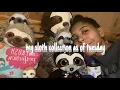 my sloth collection