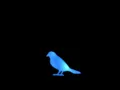 Download Lagu Naruto- Blue Bird Trap Remix 1 HOUR!