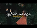 Lagu සුදු පිච්ච හැඩ වැටුන | Sudu Pichcha Hada Watuna | Slowed and Reverb