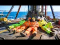 The Brutal Truth Living Inside an Offshore Oil Rig