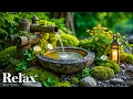 Download Lagu Relaxing Sleep Music for Deep Sleeping 🌿 Soothing Music Relieve Stress, Heals Mind and Body, Spa BGM