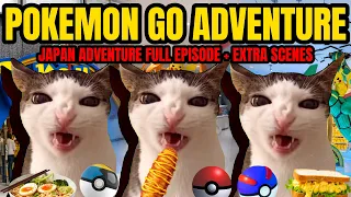 CAT MEMES: A POKEMON GO ADVENTURE | JAPAN VACATION SPECIALS!!!