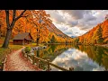 Download Lagu Autumn Pathway | Gentle Piano \u0026 Nature Ambience for Relaxation
