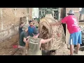 Download Lagu Dangerous Actions in Large Wood Cutting! Unique Wood Corrodes Naturallyl