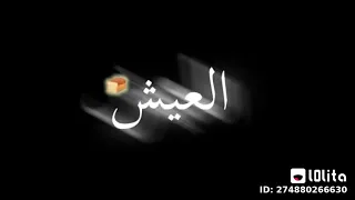 حلات وتس العيش والملح بتاعكم عملت غسيل معده  حلات وتس العيش والملح بتاعكم عملت غسيل معده