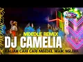 Download Lagu DJ CAMELIA - SUNGGUH TAKKAN KUBIARKAN ❗ PARTY BASS NGUK NGUK