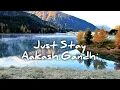 Just Stay - Aakash Gandhi