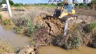 AMAZING NEW START A PROJECT ! Biggest Woody land​ Clear, Dozer SHANTUI Pushing Soil, Big Tree Cuter