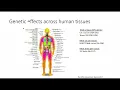 Quantitative Biological Research with Python - Lesson 8 Lecture