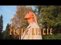 Lagu WASSYL - ZŁOTE LIŚCIE 2022 (z rep. Domino) Disco Polo