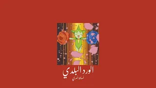                              أصالة   الورد البلدي           بطيء  دندنها