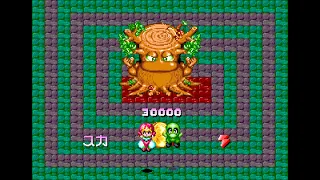 Sel Feena Arcade 2 Player Netplay 60fps 