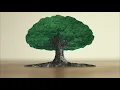 DREAMS COME TRUE - 「あなたのように」