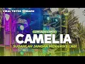 Lagu DJ CAMELIA VIRAL TIKTOK TERBARU 2025 TJAP TASSO X PARTY FULL BASS HOREG ‼️
