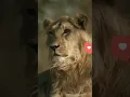 Download Lagu 😎🕓JISKO JO KEHNA HAI KEHNE DO APNA KYA JATA HAI🕘😎 (या वक्त वक्त की बात है या वक्त सबका आता है)❤️@vid
