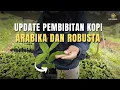Download Lagu Update Pembibitan Kopi Arabika dan Robusta di Persemaian AA Kadu