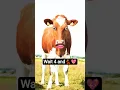 Download Lagu https://youtube.com/shorts/2cLG-oTn1dY?si=_mhr0n55pUdHE#comedy #cowcow #cow 💃💃