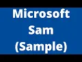 Microsoft Sam Sample