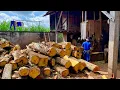 Sawing a Large Jackfruit Wood Block Was Unbelievable, and I Was Overwhelmed 