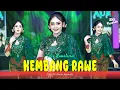 Download Lagu Kembang Rawe - Silvy Kumalasari Ft. Aura Music (Official Music Video)
