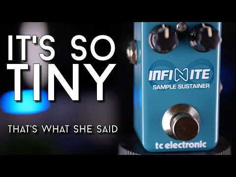 TC Electronic Infinite Mini Sample Sustainer | Delicious Audio