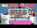 Lagu GUANO ASLI, WA 0856-9733-7041 Jual Pupuk Bat Guano Dharmasraya