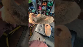 شبشب كروكس كلاسيك كوزي لوكس كروكسزيلا كروكس كروكس كلاسيك 