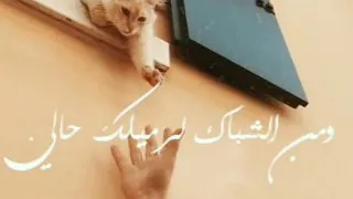 حالات واتس ومن الشباك لرميلك حالي  حالات واتس ومن الشباك لرميلك حالي