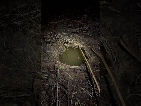 The night is filled with a sense of curiosity while fishing #senargapuk #fishing #mancing