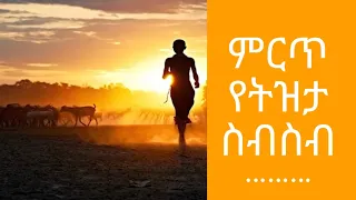 ኢትዮጵያ ምርጥ የትዝታ ስብስብ መሀሙድ በዛወርቅ ትግስት Tizita Vol 1 