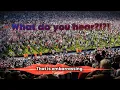 That is Embarrassing football chant