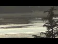 Channel Sunset Eagle Juneau Alaska