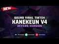 Download Lagu DJ Kanekeun V4 ( Reverb Version ) 🎧