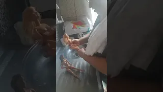 27 de fevereiro de 2025