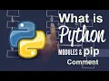 What is python module comment and pip Hindi for beginner - 2020