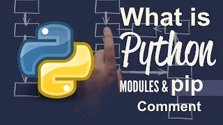 What is python module comment and pip Hindi for beginner - 2020