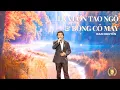 Download Lagu LK VƯỜN TAO NGỘ \u0026 BÔNG CỎ MAY | ĐAN NGUYÊN
