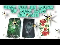 Lagu 🌺HOW DID HE FEEL/THINK WITH THAT MESSAGE YOU SENT🌺PICK A CARD TAROT READING