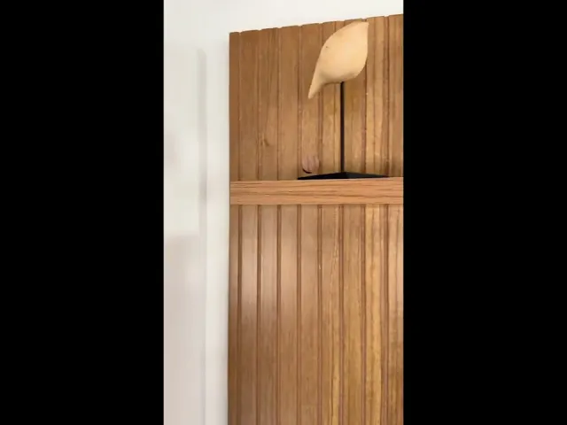 Vídeo do produto
