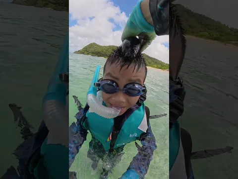ナマコちょんまげ