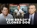 Deeply Disturbing - World-Renowned Scientist on Cloning and Generically Engineering Super Humans