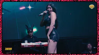 aini zafara yank zafara music live stbier