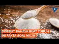 Download Lagu Micin Bahaya Buat Tubuh? Ini Faktanya