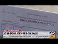 Dog licenses go on sale in the Midstate