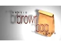 Brown Bag October 2016