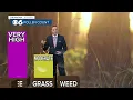 Saturday update on insane pollen levels in Central Virginia